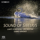 Lemminkainen Suite, Op. 22: II. the Swan of Tuonela artwork