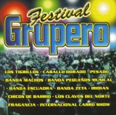 Festival Grupero, Vol. 1
