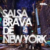 Salsa Brava de New York artwork