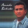 Amado Batista, 1991