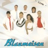 Blaumeisen Live, 2010