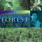 Mystic Soundscapes: Forest artwork