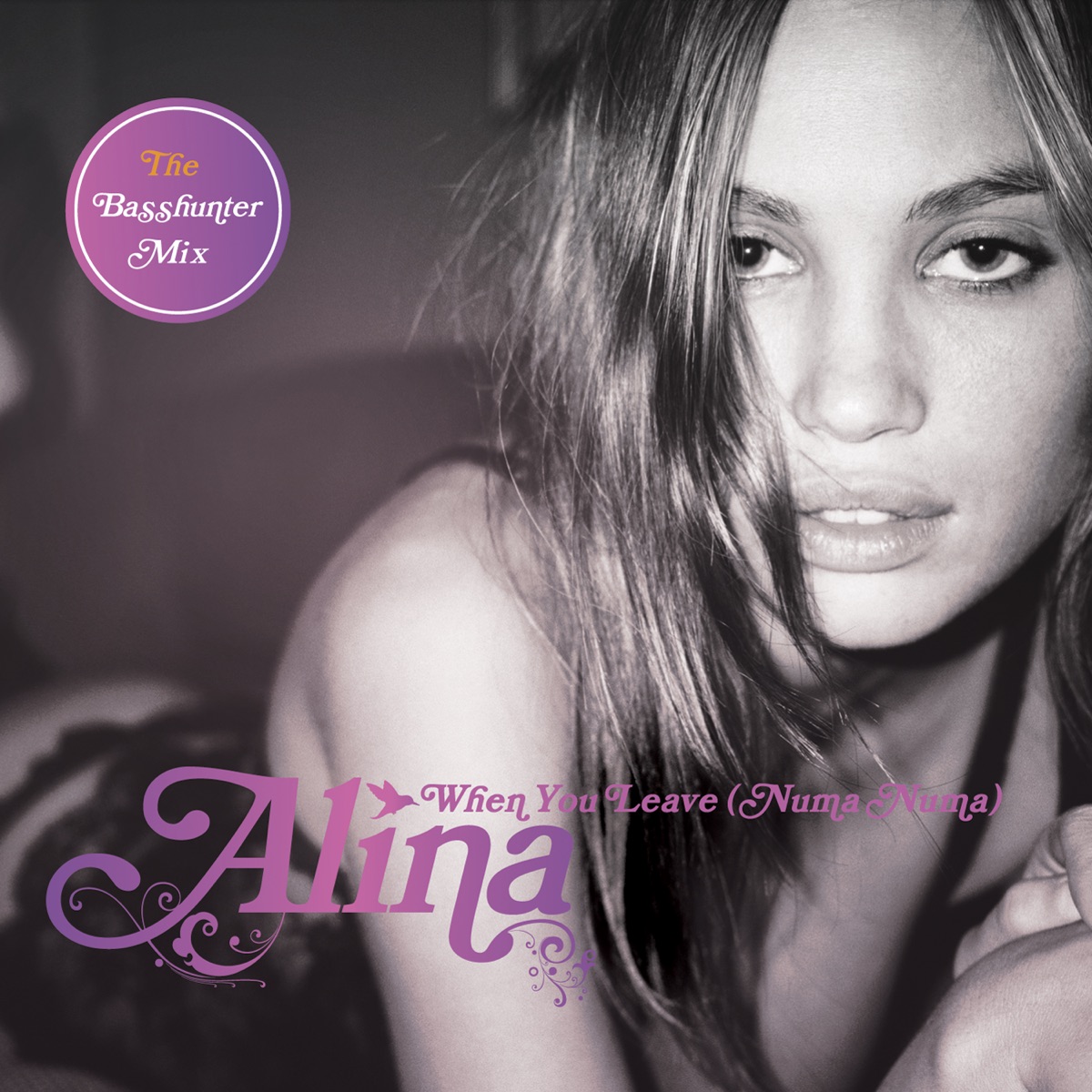 When You Leave (Numa Numa) [Basshunter Radio Mix] - Single de Alina en  Apple Music