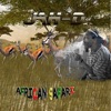 African Safari