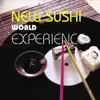 Past Journey (Sushi Roll Dub) song lyrics