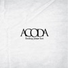 Acoda - Paint By Numbers