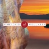 Symphonies of Wellness