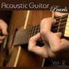 Acoustic Guitar Pearls Vol. 2, 2008