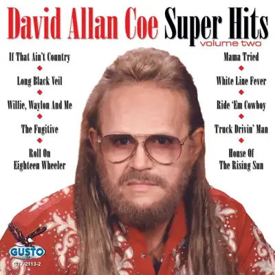 Super Hits Volume 2 - David Allan Coe