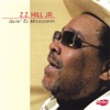 ZZ Hill Jr - Down Home Girl