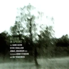 Believe In Spring by Hans Ulrik, Steve Swallow & Jonas Johansen album reviews, ratings, credits