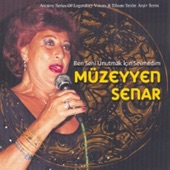 Ben Seni Unutmak İçin Sevmedim artwork