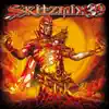 Skitzmix 39 (Mixed by Nick Skitz) album lyrics, reviews, download