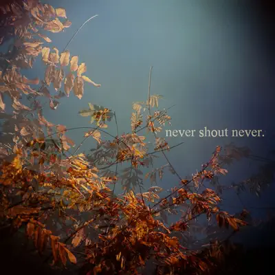 Never Shout Never - EP - Never Shout Never