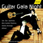 Amadeus Guitar Duo: Guitar Gala Night artwork
