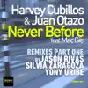Never Before (Jason Rivas Remix) song lyrics