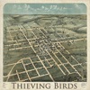 Thieving Birds, 2011