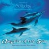 Dan Gibson's Solitudes - Skimming Waves