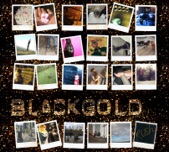 Black Gold - Breakdown