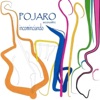 Pojaro acoustic - With or Without You
