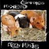 Spineless Fuckers - One Hundred Nappies