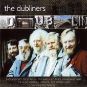 The Dubliner's Dublin artwork