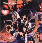 The Koala - Don't You Know What I Mean?