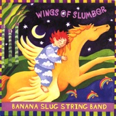 Banana Slug String Band - This Little Island