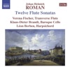 Klaus-Dieter Brandt, Baroque Orchestra L'arpa Festante & Riccardo Masahide Minasi - Flute Sonata No. 5 in E Minor: I. Lento