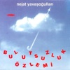 Nejat Yavasogullari - Pastanede