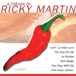 A Tribute To Ricky Martin - The Coverbeats A Tribute To Ricky Martin - The Coverbeats