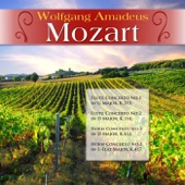 Wolfgang Amadeus Mozart: Flute Concerto No.1 in G Major, K.313; Flute Concerto No.2 in D Major, K.314; Horn Concerto No.1 in D Major, K.412; Horn Concerto No.2 in E-Flat Major, K.417 artwork