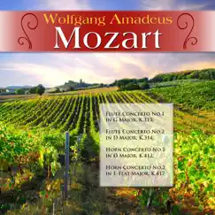 Wolfgang Amadeus Mozart: Flute Concerto No.1 in G Major, K.313; Flute Concerto No.2 in D Major, K.314; Horn Concerto No.1 in D Major, K.412; Horn Concerto No.2 in E-Flat Major, K.417 by Various Artists album reviews, ratings, credits