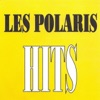 Les polaris : Hits