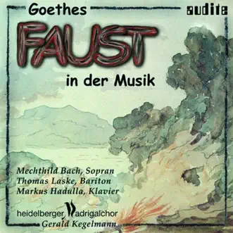 Hensel, Busoni, Liszt, Schubert, Beethoven, Wagner & Schumann: Goethes 