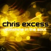 Sunshine in the Soul (Remixes)