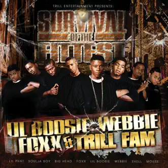 Wipe Me Down by Lil Boosie featuring Webbie and Foxx song reviws