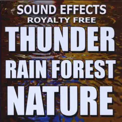 Africa (Jungle Storm) Thunder, Lightning Song Lyrics