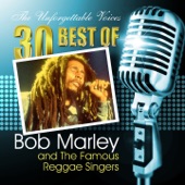 The Unforgettable Voices: 30 Best of Bob Marley & the Famous Reggae Singers artwork