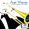 Angel Melendez & the 911 Mambo Orchestra