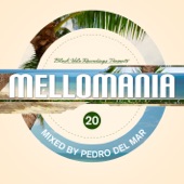Mellomania 20 (Continuous Mix 2) artwork