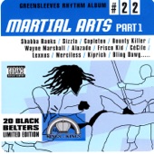 Martial Arts, Pt. 1 artwork