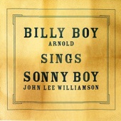 Billy Boy Sings Sonny Boy artwork