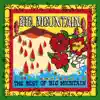 The Best of Big Mountain album lyrics, reviews, download