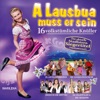 A Lausbua muss er sein, 2012