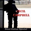 Steel Guitar Special, 2011