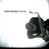David Sánchez - No Quiero Piedras En Mi Camino (Album Version)