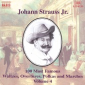 Strauss II: 100 Most Famous Works, Vol. 4 artwork