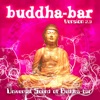 Universal Sound of Buddha Bar, Vol. 2