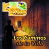 Los Caminos de la Vida